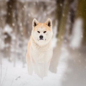 Meet your Posher, Jae